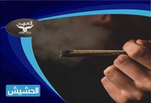 مخدر الحشيش